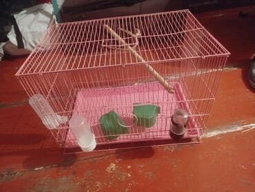 голуби голубей птицы: Клетка для птиц (розовая) - Просторная прямоугольная клетка из — 3