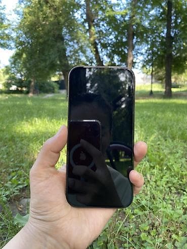 pro 11: IPhone 16 Pro, 256 ГБ, 90 % — 2