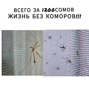 Чиркей тору, Даяр, Акысыз жеткирүү