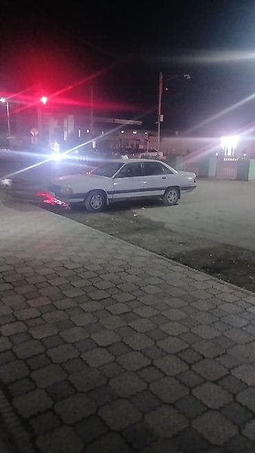 садовые цветы в бишкеке: Пеларгония (герань) с розовыми соцветиями - Сорт: зональная — 2