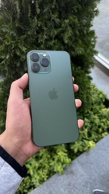 iphone 10 pro max: IPhone 13 Pro Max, Новый, 128 ГБ, Alpine Green, Коробка, 79 % — 2