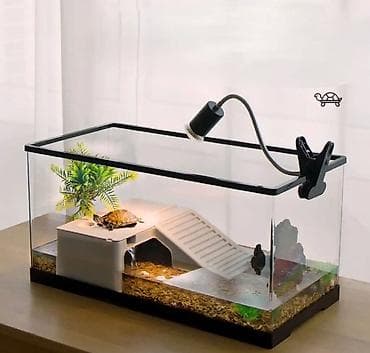 питомцы: 🐢 Идеальный аквариум для водных черепах и рыб! Создайте комфортный и — 1