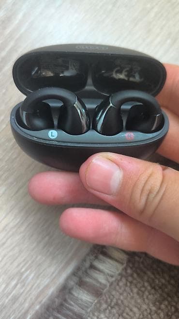 dji mini mic: Беспроводные наушники-вкладыши с зарядным кейсом - Форм-фактор — 1