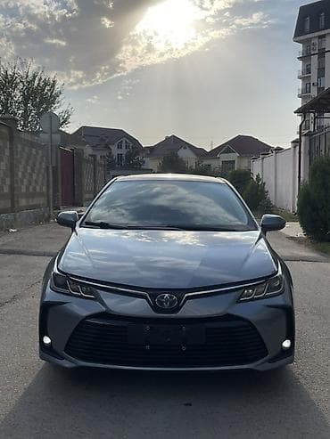 haynes pro: Toyota Corolla: 2021 г., 1.8 л, Автомат, Гибрид, Седан — 2