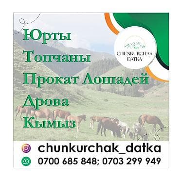 айпады бишкек: Организация мероприятий | Оформление мероприятий — 8