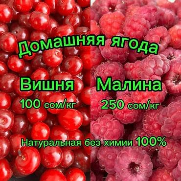 ягоды бишкек: Вишня В розницу, Самовывоз, Платная доставка — 1