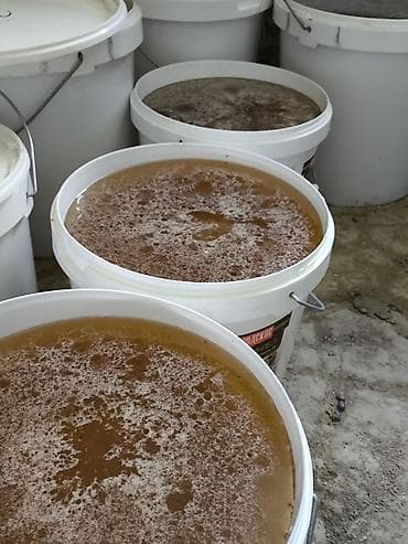 fire maple: .🍯 Натуральный эспарцетовый мёд 🍯 Попробуйте настоящий эспарцетовый — 2