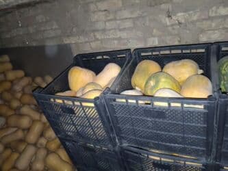 продам тыкву: Салам алейкум уважаемые покупатели вашему вниманию сорт японка сладким — 5