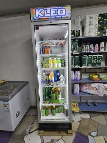 холодильник витриный: Витриинный Холодильник — 1