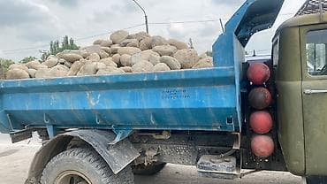 кок джар ж м: Көмүр, кум, шагыл, кара топурак жеткирүү, ылгоо, 8 тонна — 2