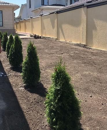 газонная трова: Сеем газон!☘️☘️ Посев газона🍀🍀 Косим газон🌱🌱 Травим — 10