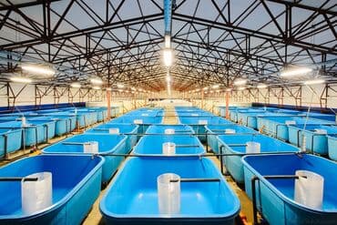 Изготавливаем чаши бассейна, емкости для установки замкнутого