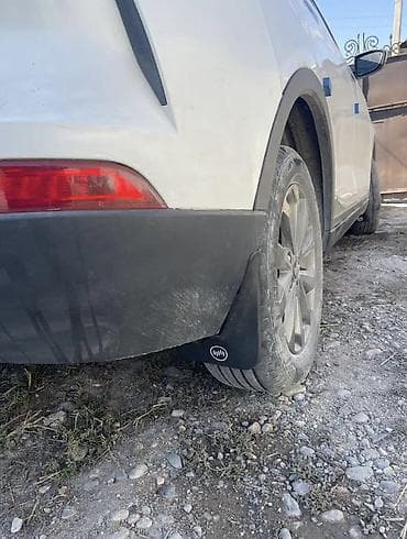 crazy drift: Брызговики Weltmeister — 2