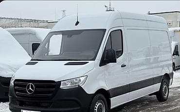 Материалдар: Жука чел кабык, түсү - Ак — 8