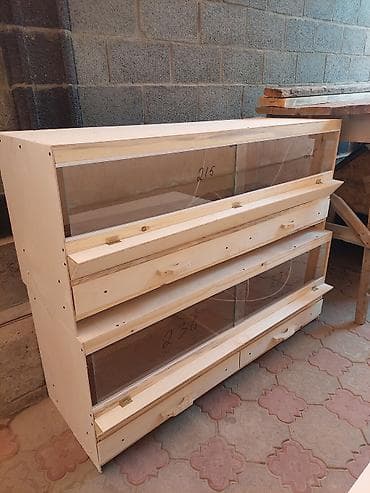 брудер для циплят: Брудеры для цыплят. Цена 4800 сом. Размеры. длина 150 см ширина 50 см — 10