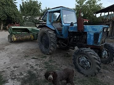 Тракторы МТЗ (Беларус): Модель: 82 экспортный, Б/у, 1989 г. — 1