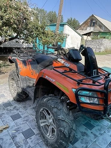 кок талаа: Квадроцикл Бензин, 700 куб. см, Чоңдор үчүн — 3