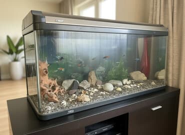 Продаётся аквариум Atman 120х40х50 (240 л)🐠 Стильный и вместительный at lalafo.kg Продаётся аквариум Atman 120х40х50 (240 л)🐠 Стильный и вместительный