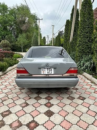 бенза касилка: Mercedes-Benz S-Class: 1996 г., 5 л, Автомат, Бензин, Седан — 5