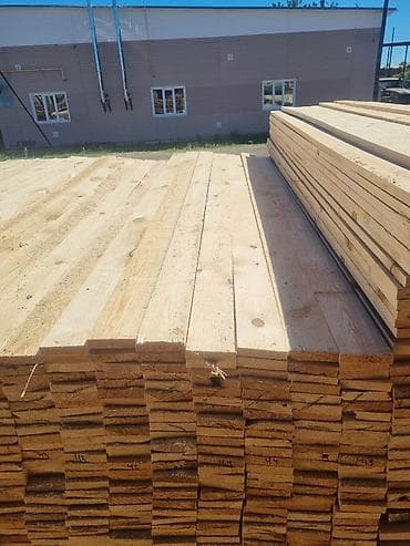 clean box: Хвоя — 5