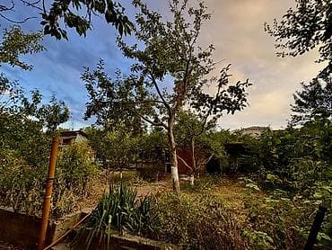 Үйдү ижарага алам: Дача, 40 м², 3 бөлмө, Менчик ээси, Косметикалык оңдоо — 5