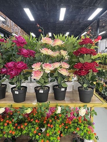 костюм пчелы: Искусственные комнатные растения в кашпо - Разнообразные модели — 7