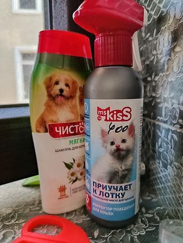 scottish fold: Продаю набор для котенка. Нам не понадобилось, все Новое!!! Отдам за — 1