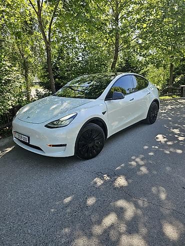 Tesla Model Y: 2021 г., Вариатор, Электромобиль, Кроссовер