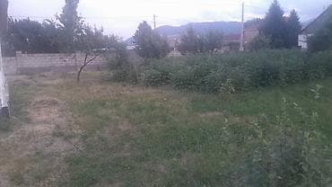 ысык куле: 10 соток, Курулуш, Кызыл китеп — 2