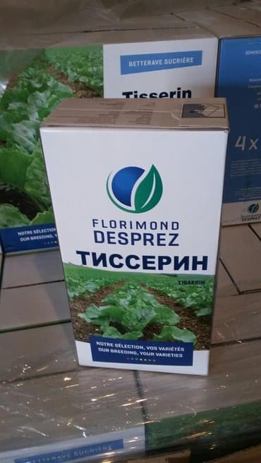 сейф бизнес маркетинг: Семена кормовых растений: Люцерна — 5