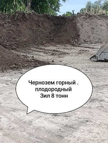 чернозем машина цена: В тоннах, Зил — 1