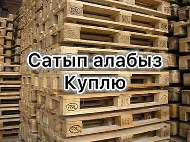 Поддон