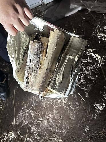 дрова в мишках: Дрова — 3