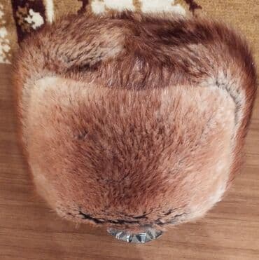 шапка с ушками которые поднимаются купить: Продаю шапку
Ондатра 
Размер 58 см
Состояние хорошее
Пишите на вотсап — 3