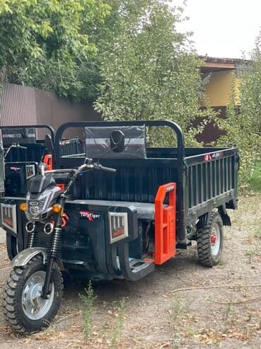 купить трехколесный электроскутер бу: Мотороллер муравей Электро, 80 км, 1500 кг и более, Новый, В рассрочку — 1