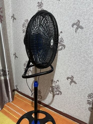 диски мультики: Вентилятор новый. С регулировкой высоты. Автоповорот-можно отключить — 1