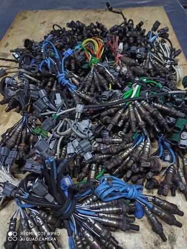 помощь в получении гражданства рф в бишкеке: Лямбда зонды лямбда зонды лямбда зонды на все марки машин горантия — 3