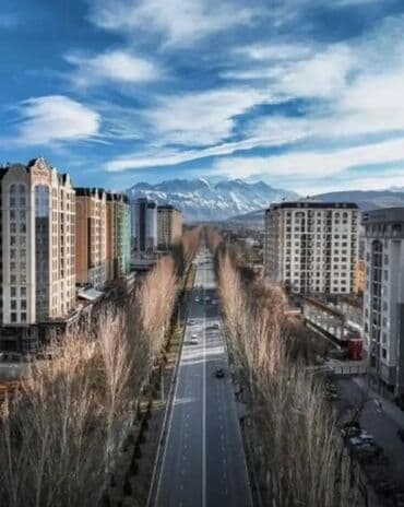 сдаю квартиру на долгий срок бишкек: 3 комнаты, 141 м², Элитка, 13 этаж, ПСО (под самоотделку) — 4