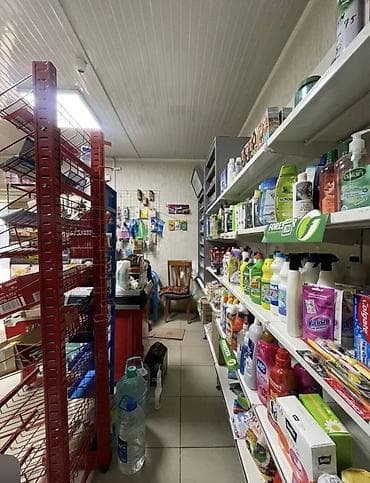 гараж на аренду: Срочно продается магазин с собственным участком Участок на красной — 7