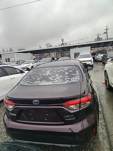 тойота ливин: Toyota Levin: 2020 г., 1.8 л, Вариатор, Гибрид, Седан — 2