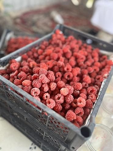 упаковочные коробки: Малина Платная доставка, Самовывоз — 1