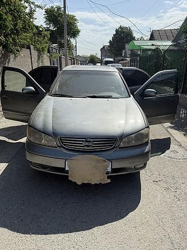 аламединское ущелье: Nissan Almera: 2002 г., 2 л, Автомат, Бензин — 1