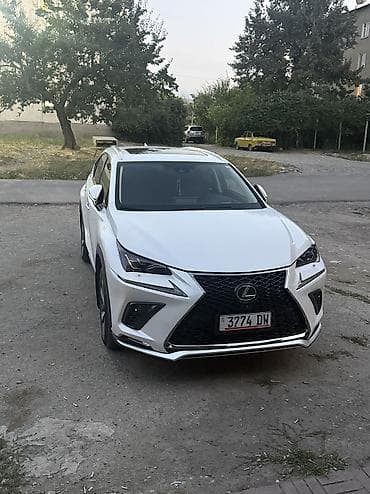Lexus NX: 2019 г., 2 л, Автомат, Бензин, Кроссовер