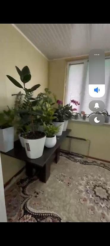 продаю строительный вагон: 4 комнаты, 105 м², 107 серия, 4 этаж, Евроремонт — 6