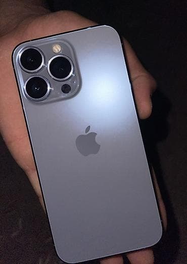 IPhone 13 Pro, Б/у, 256 ГБ, Space Gray, Чехол, 75 %