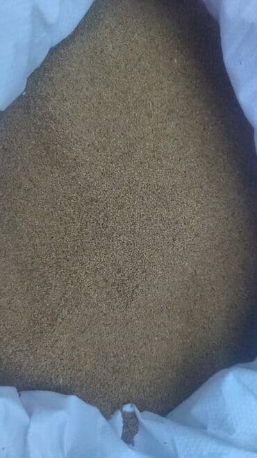 большие горшки для цветов бишкек: Беде урук сатылат — 1