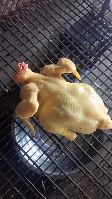 мангалы для дома: Домашняя тушка курицы (потрошёная, без головы и перьев) - Цельная — 1
