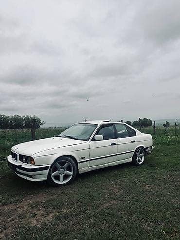 колф 3: BMW 5 series: 1994 г., 2.5 л, Седан — 3