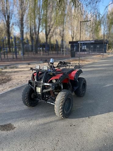 сервопривод купить: Квадроцикл Подходит для: - Прогулок по бездорожью, рыбалки, охоты - — 6