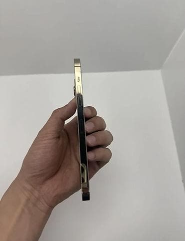 switch lite: IPhone 12 Pro Max, Золотой — 4